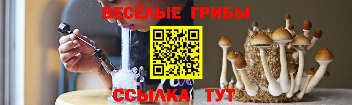 Псилоцибиновые грибы ЛСД Кольчугино